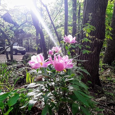Cherokee Mountain Log Cabins Eureka Springs Εξωτερικό φωτογραφία