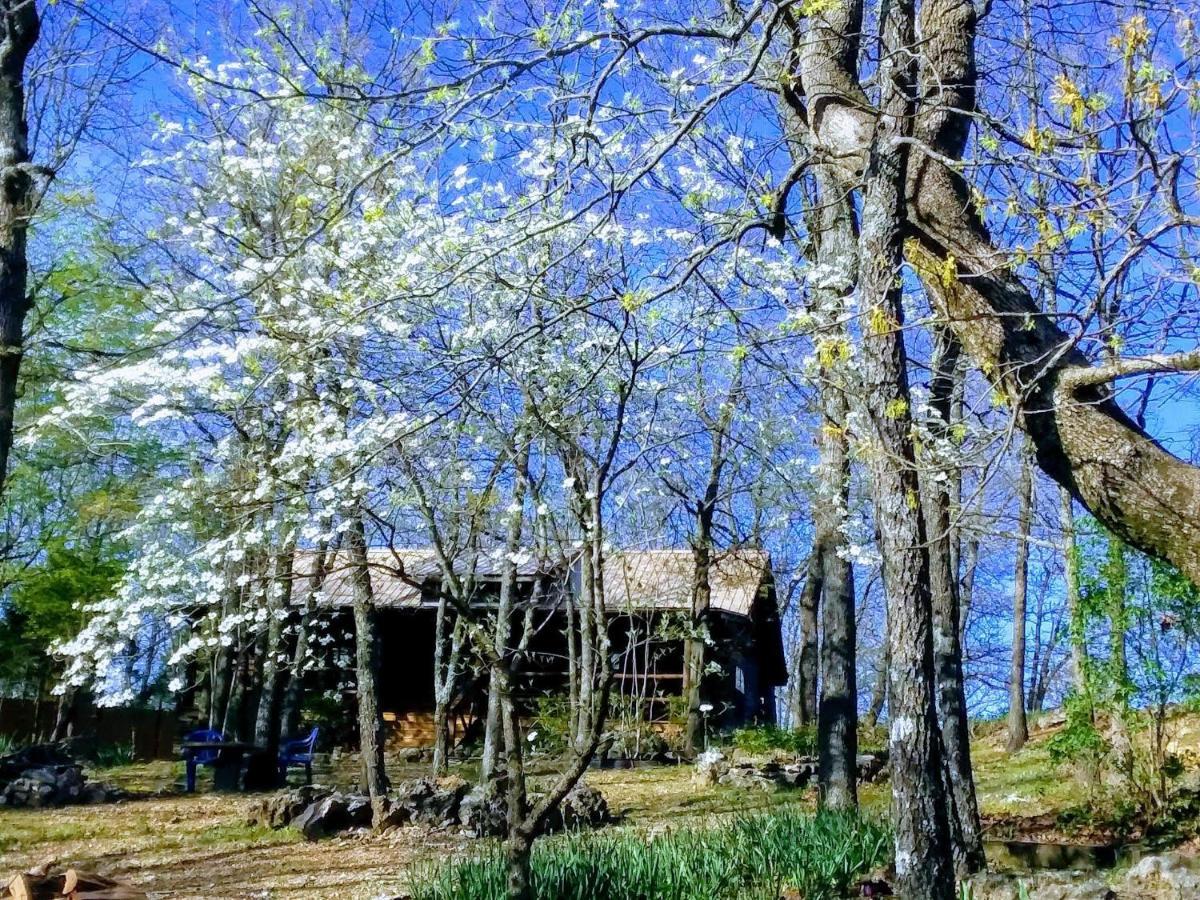 Cherokee Mountain Log Cabins Eureka Springs Εξωτερικό φωτογραφία