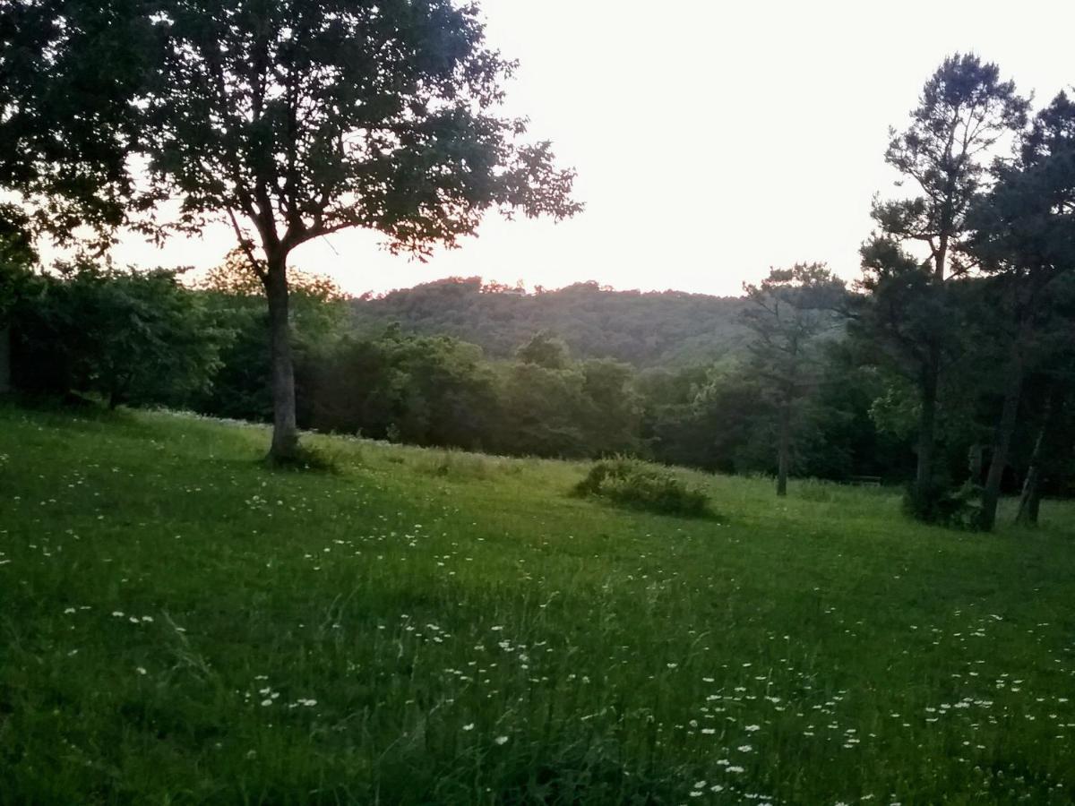 Cherokee Mountain Log Cabins Eureka Springs Εξωτερικό φωτογραφία