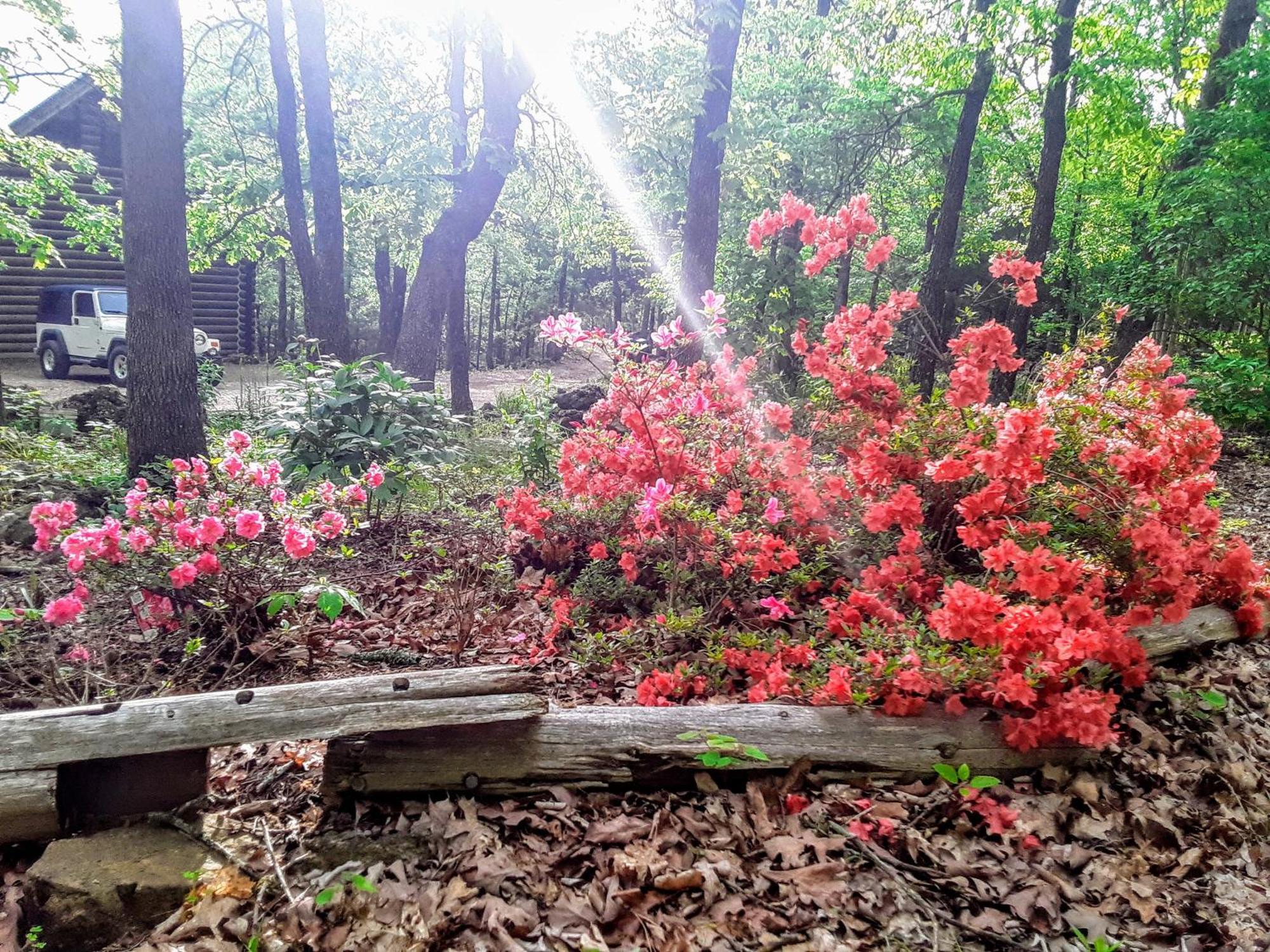 Cherokee Mountain Log Cabins Eureka Springs Εξωτερικό φωτογραφία