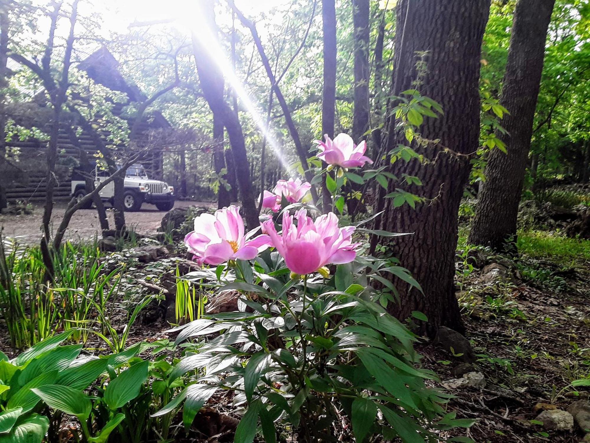 Cherokee Mountain Log Cabins Eureka Springs Εξωτερικό φωτογραφία